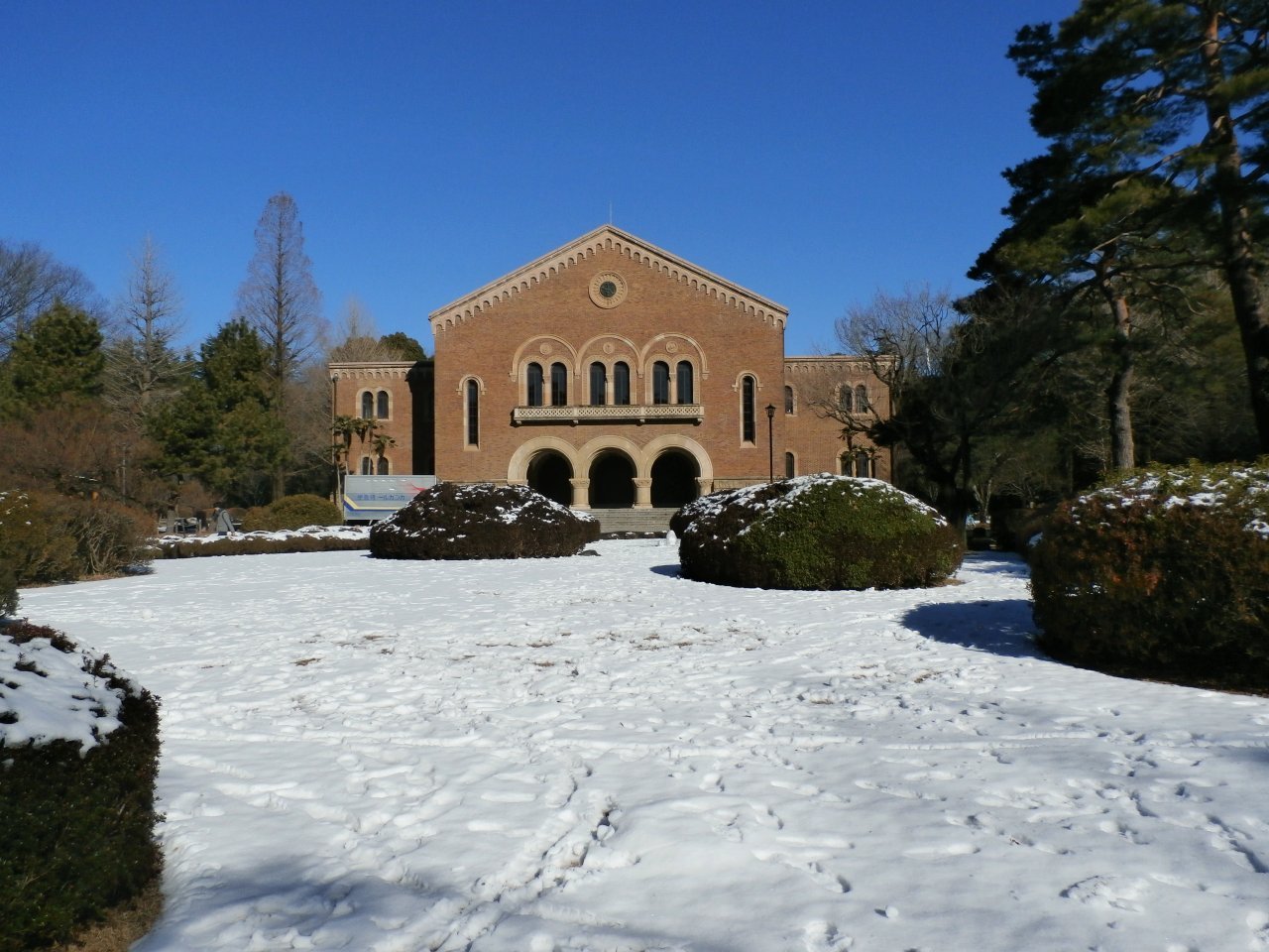 一橋大学キャンパス雪景色